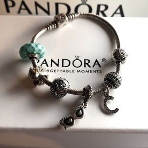 Pandora Bracelet Charms